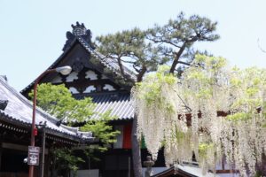 藤井寺市でおすすめの電気工事会社8選|失敗しない業者選びを解説